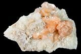 Peach Stilbite Crystals on Sparkling Quartz Chalcedony - India #168754-1